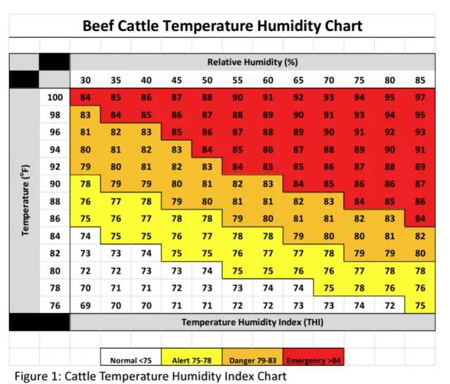 beef cattle heat index