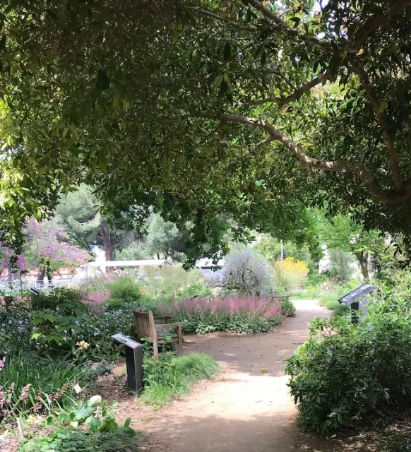 Ruth Storer Garden. photos by Karen Metz