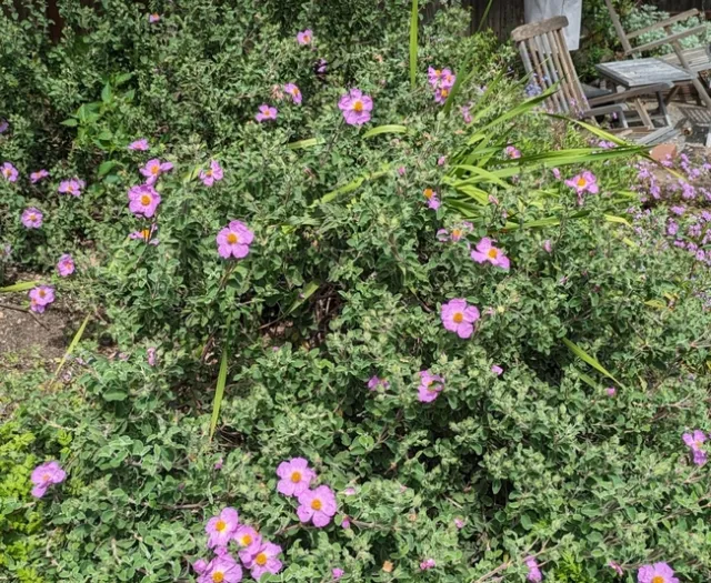 Screenshot 20240526-170543 Photos