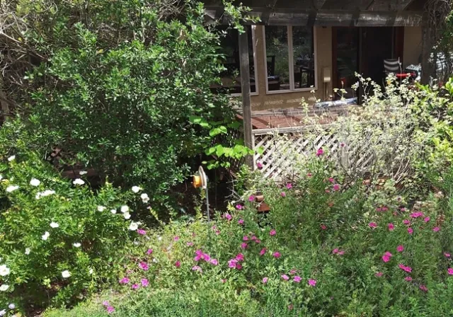 Screenshot 20240526-172117 Photos