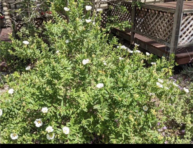 Screenshot 20240526-211727