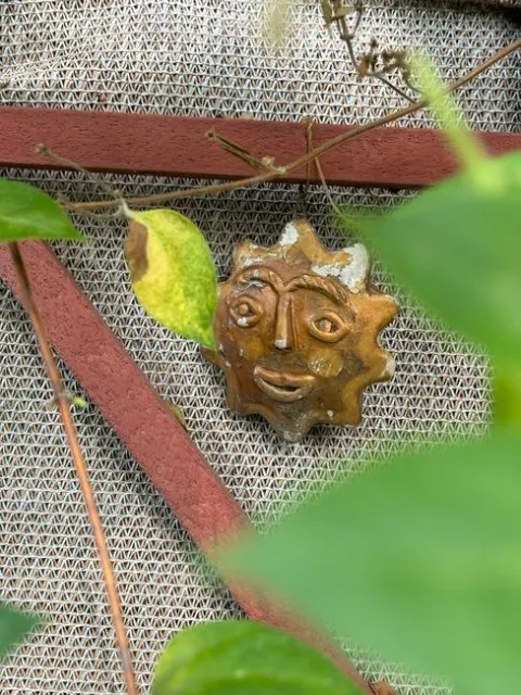 Sun. photos by Joy Humphrey.