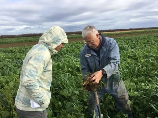 Two scientists look at soil in a field