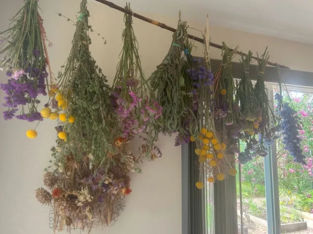 From the Garden Fig 1