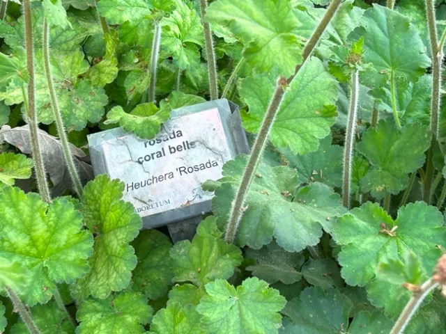 Feature 1 - Grant - Pic 3