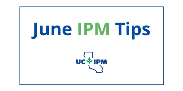 Pest prevention tips for June.