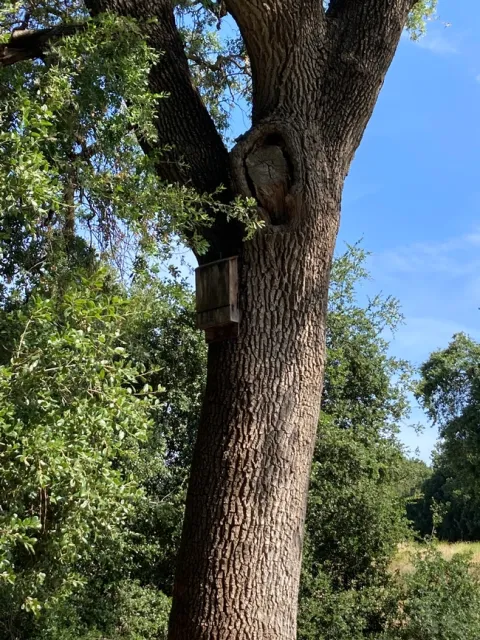 photos by Michelle Davis