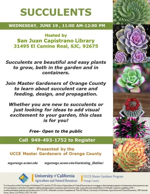 Unlock the Secrets of Succulent Success – Join Our Master Class