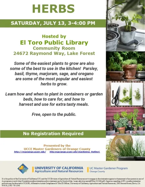 Grow Your Own Kitchen Herbs – Join Our Expert Gardening Event