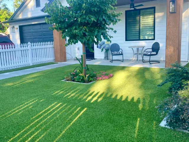 Synthetic lawns do not support habitat for birds, other pollinators or the microbes found in healthy soil. (Photo: Jeannette Warnert)