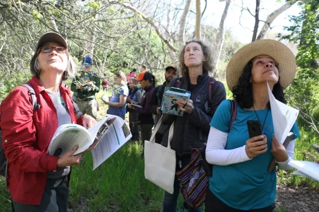 IMG 8825 - from Grassroots Ecology 2019, by Lynn Hori