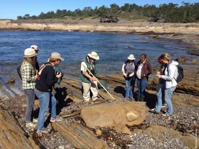 Eight people gather around Clifton as he points to fossils with a pole.