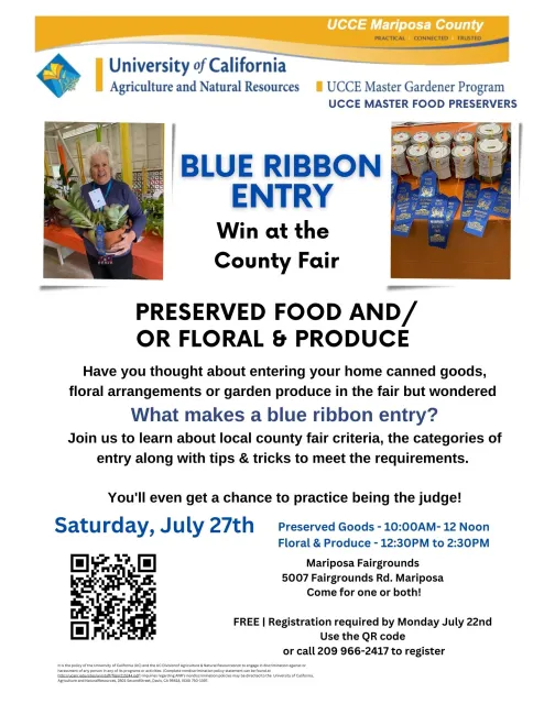 Blue Ribbon Entry 2024 flyer