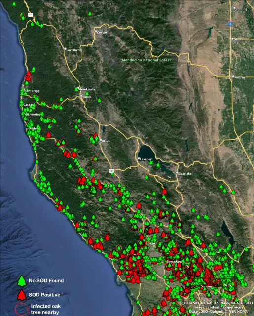 Screenshot 2024-07-18 at 6.20.51 PM