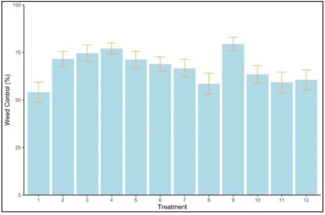 Screenshot 2024-06-09 at 6.52.15 PM