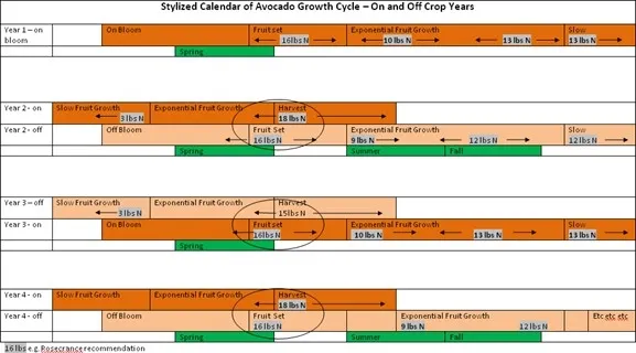 avocado on off years