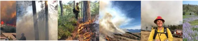 Images with fire. Photos from UC ANR.