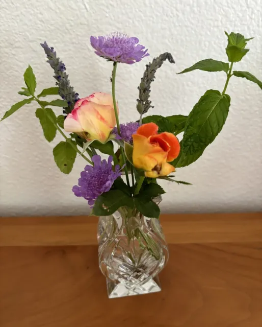 Pincushion flower with 'Double Delight' and 'Burst of Joy' rosebuds