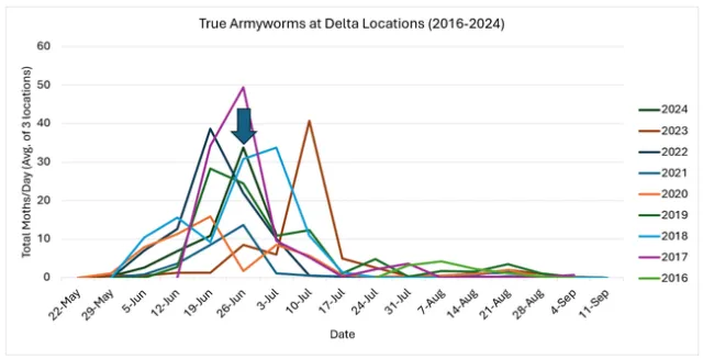 Figure 2. Delta armyworm monitoring data (2016-2024).
