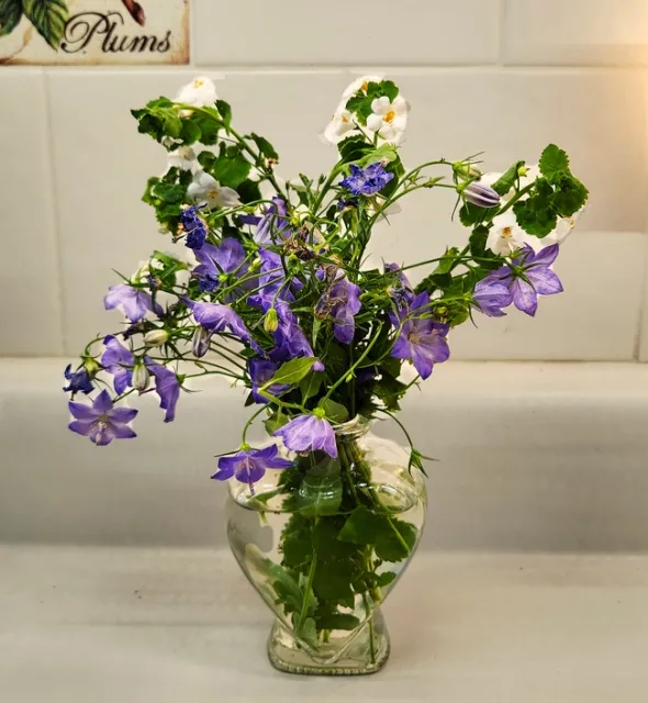 Bellflower Bouquet - Al Alvarado