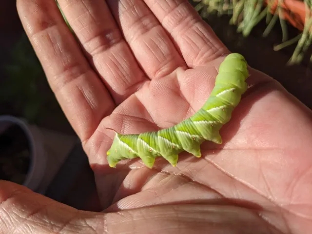 PXL 20210626 155655394