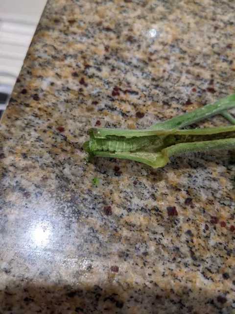 PXL 20210722 164829830