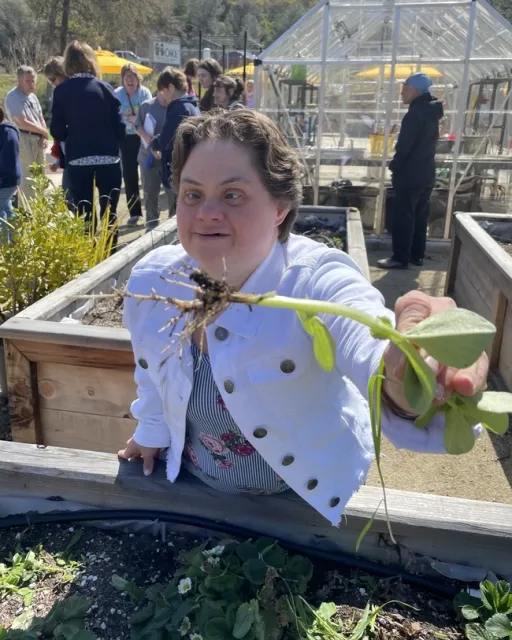 Uno de los participantes del programa MORE sostiene una raíz de haba para mostrar sus nódulos de nitrógeno, durante su visita al huerto del campus. Fotografía por Tracy Celio