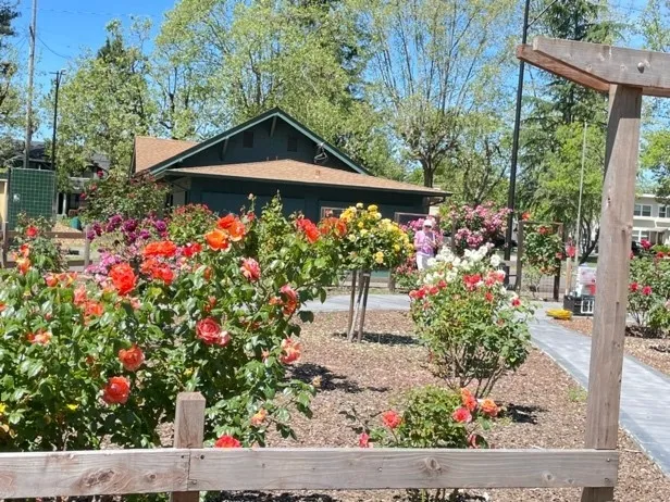 Fuller Park Rose Corral