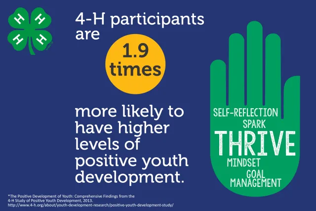 Positive Youth Development Impact
