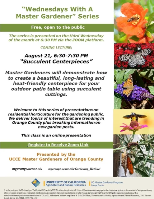 Master Succulent Centerpieces in Our Next Zoom Workshop