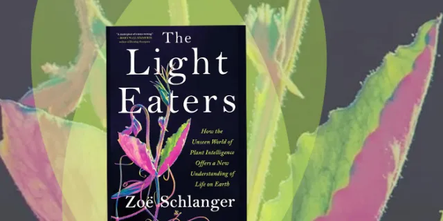 Book over for the Light Eaters