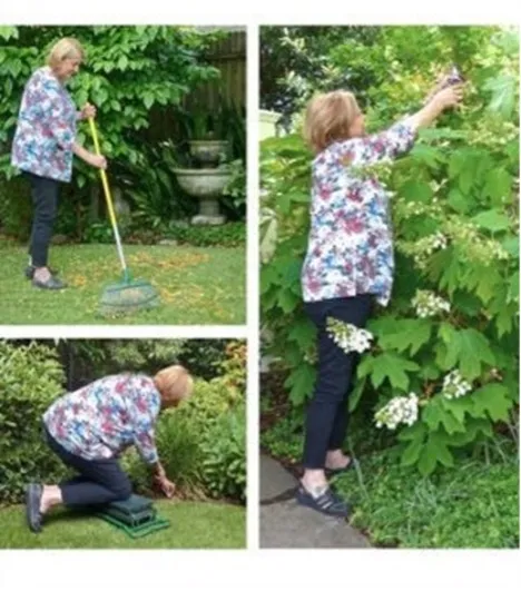 Growing Knowledge Fig 3