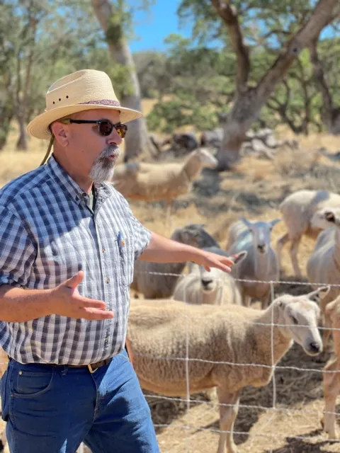 Dan Macon standing in front of a flock of sheep.