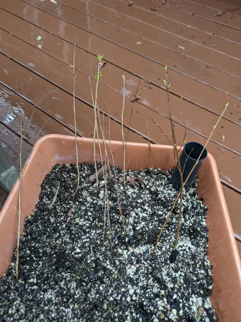 PXL 20240131 190219560