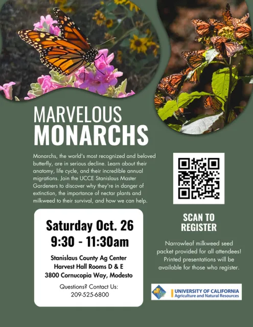 Marvelous Monarchs flier full size (1) (1)