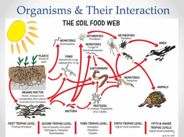 Screenshot 2024-10-15 at 12-36-32 Slide 1 - 142936.pdf