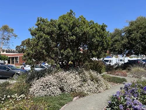 LWG_1_Courtesy Brian Kerss