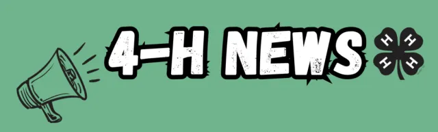 4-h news