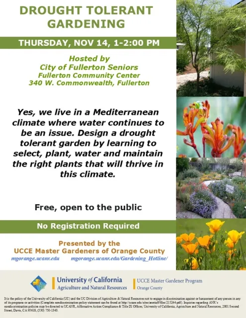 Design a Lush, Drought-Tolerant Garden That Thrives in Any Climate