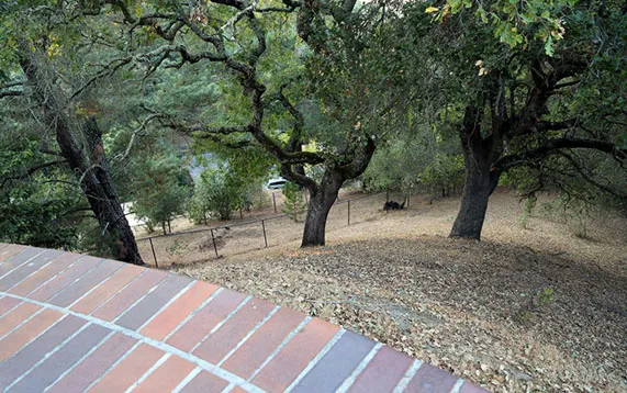 Maintained_Downslope_H Van Den Broeck