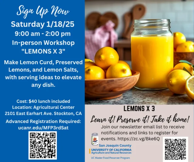 Poster announcement of Lemon Workshop
