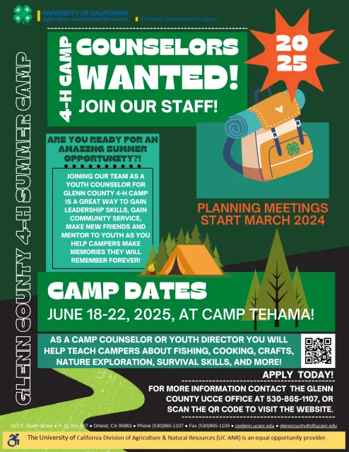 Glenn County 4-H Camp Counselors Wanted Flyer 2025