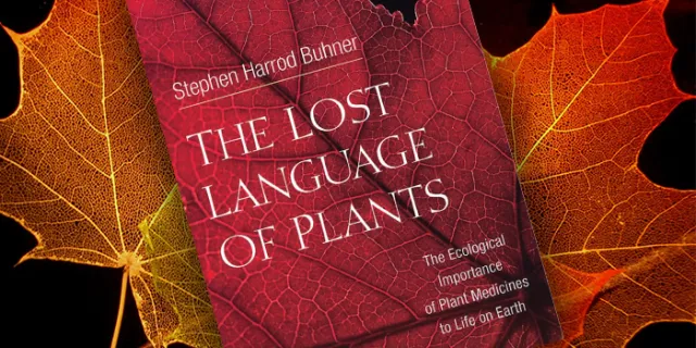 Cover for the book