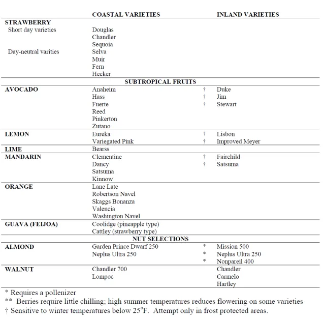 {E81BBDC5-9790-43FB-B936-15ACF82DE9AE}