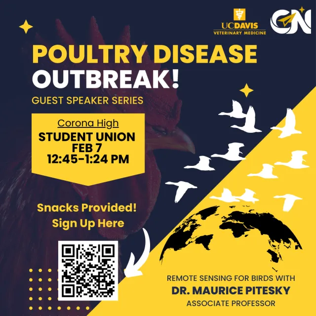 Feb 2024 Corona Poultry Outbreak Instagram Post