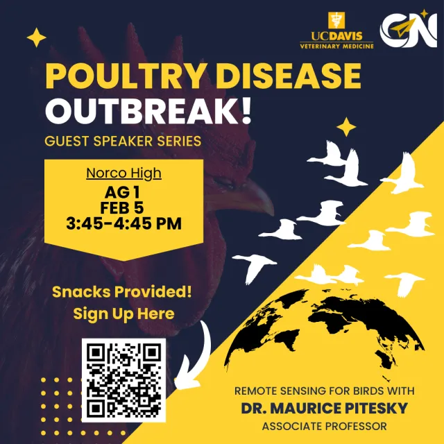 Feb 2024 Norco High Poultry Outbreak Instagram Post