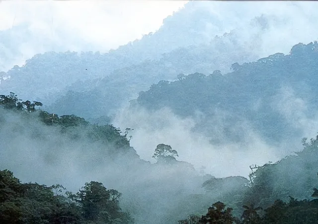 cloud forest costa rica