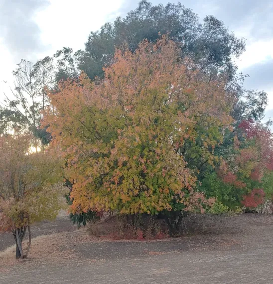 photo by Michelle Schlegel