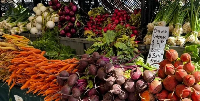 Go Organic workshop flyer Jan 31 Final