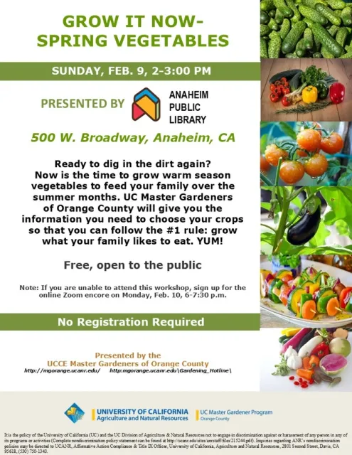 Fresh, Homegrown Veggies? Learn How to Plant Now